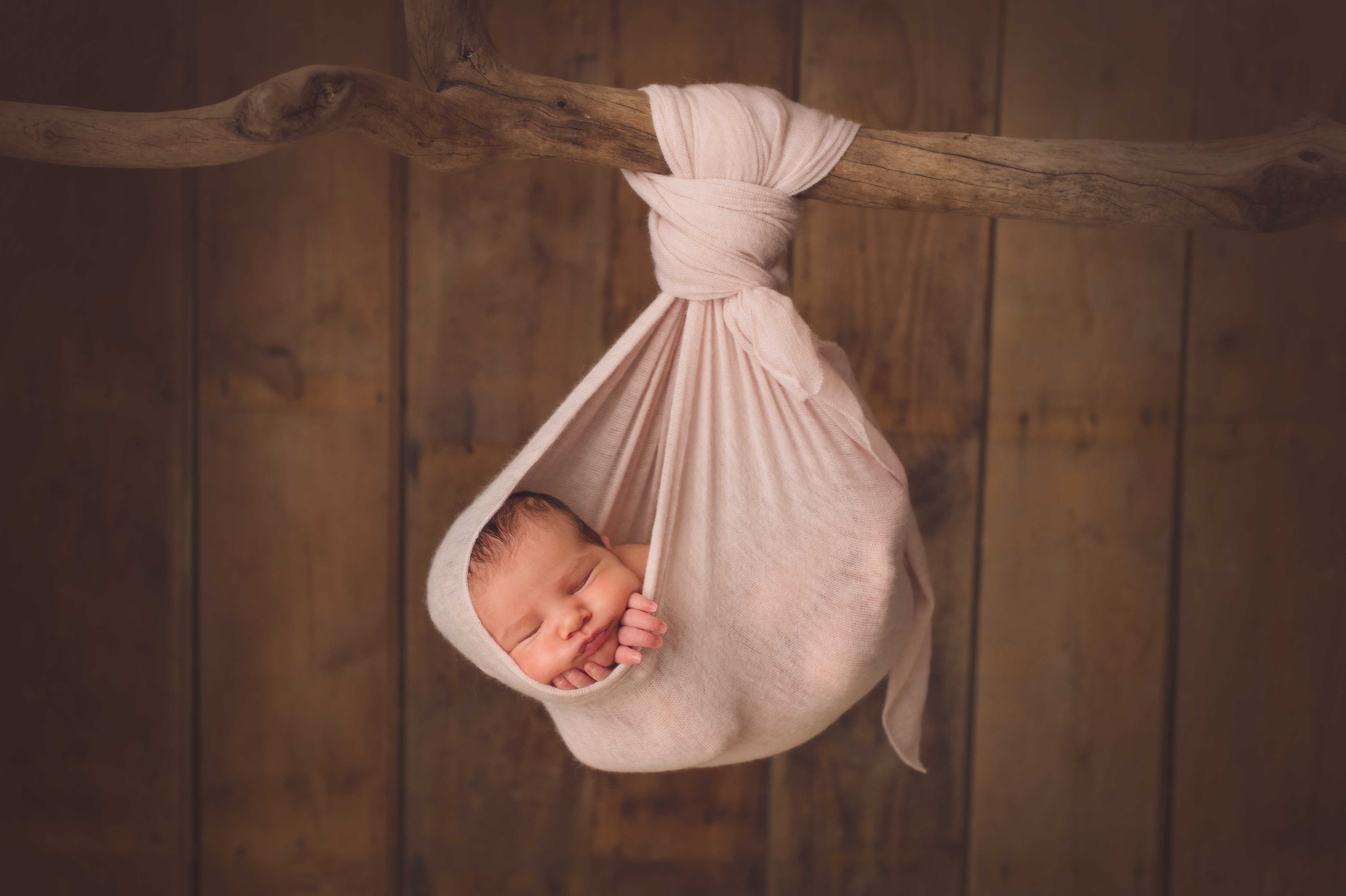 Newborn hanging from the branch